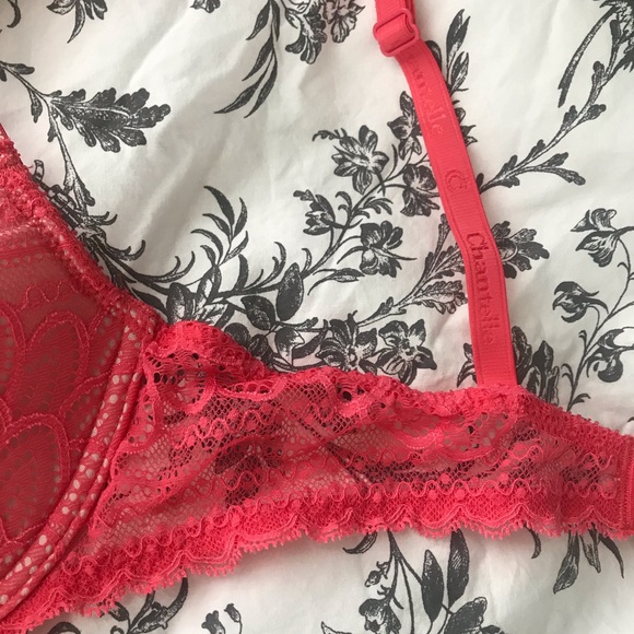Pink Lace Chantelle Bra - Picture 4 of 4